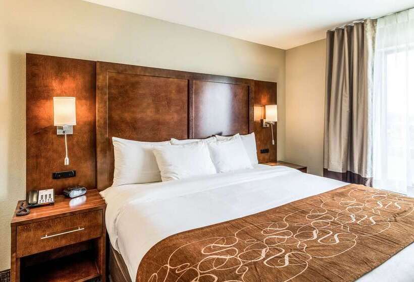 בית מלון כפרי Comfort Suites