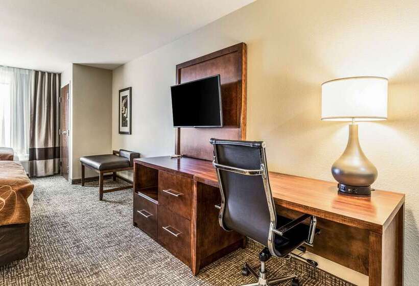 酒店 Comfort Suites