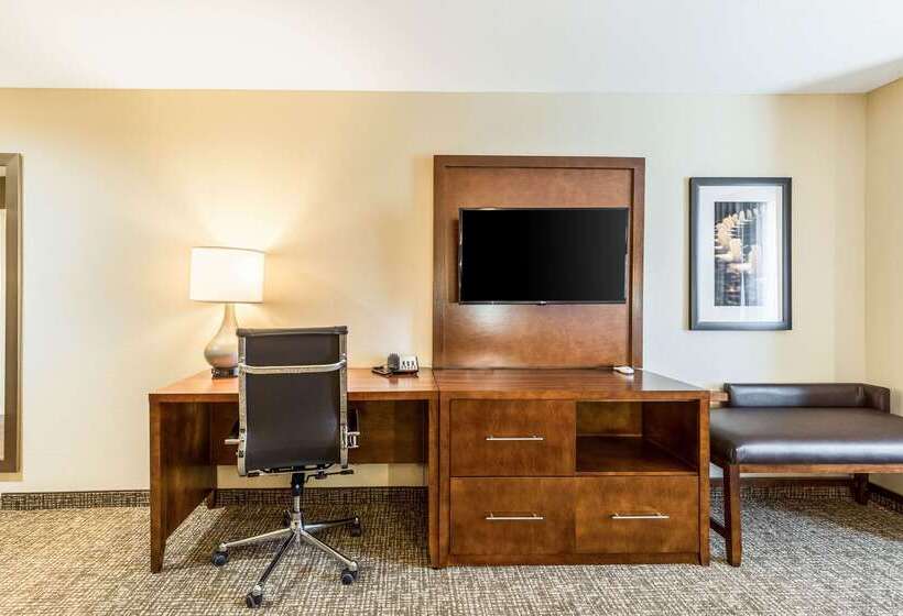 酒店 Comfort Suites