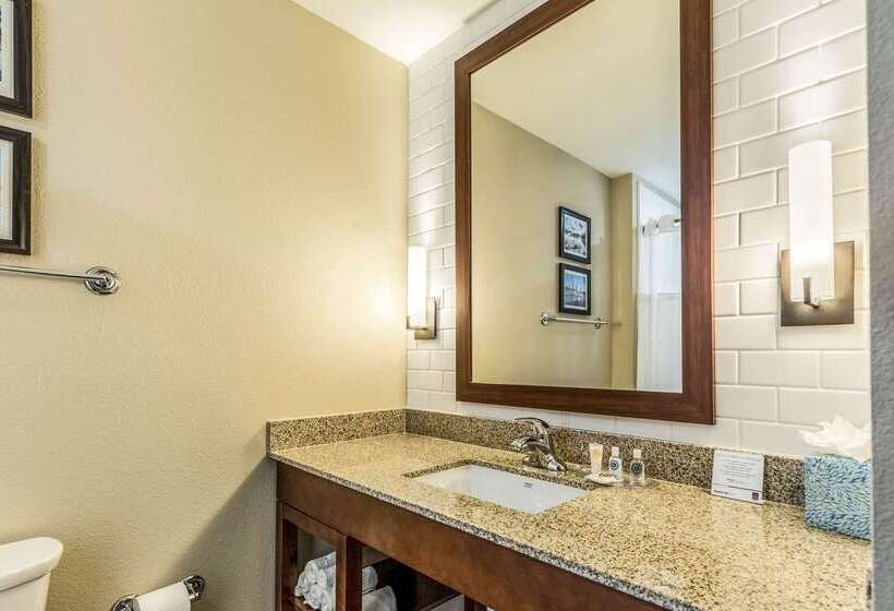 בית מלון כפרי Comfort Suites