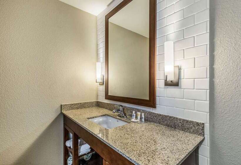 酒店 Comfort Suites