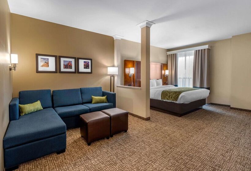 فندق Comfort Suites Denver Near Anschutz Medical Campus