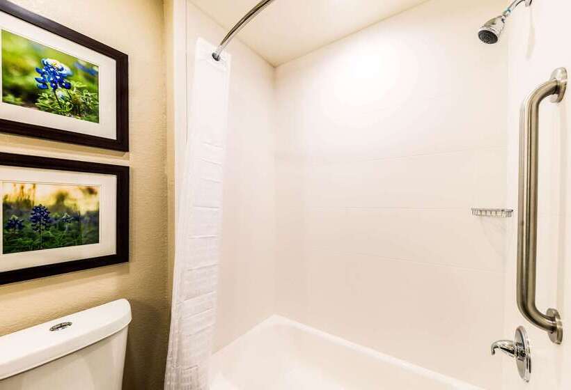 ホテル Comfort Suites Grand Prairie  Arlington North