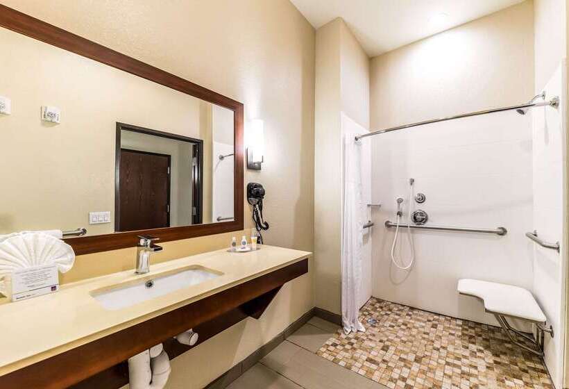 Отель Comfort Suites Grand Prairie  Arlington North