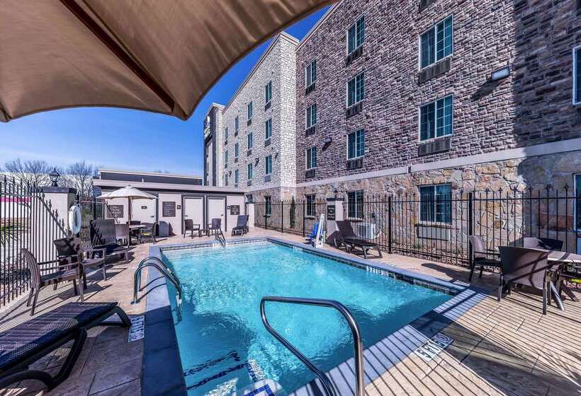 ホテル Comfort Suites Grand Prairie  Arlington North