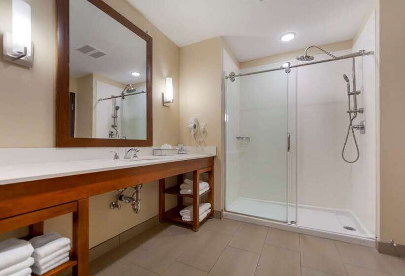 בית מלון כפרי Comfort Suites La Vista  Omaha