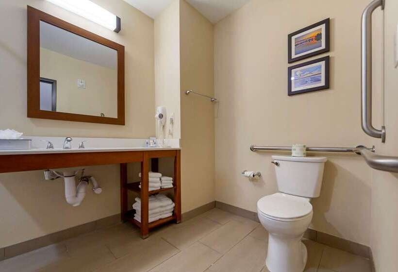 בית מלון כפרי Comfort Suites La Vista  Omaha