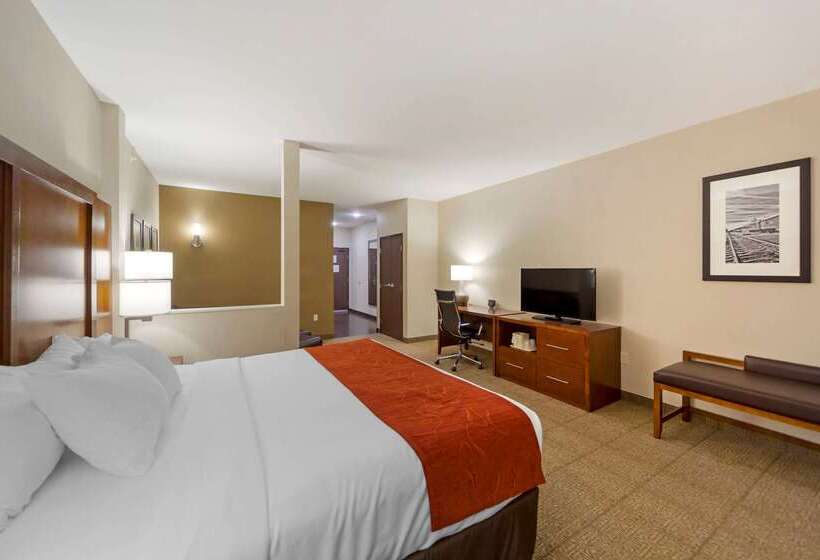 בית מלון כפרי Comfort Suites La Vista  Omaha