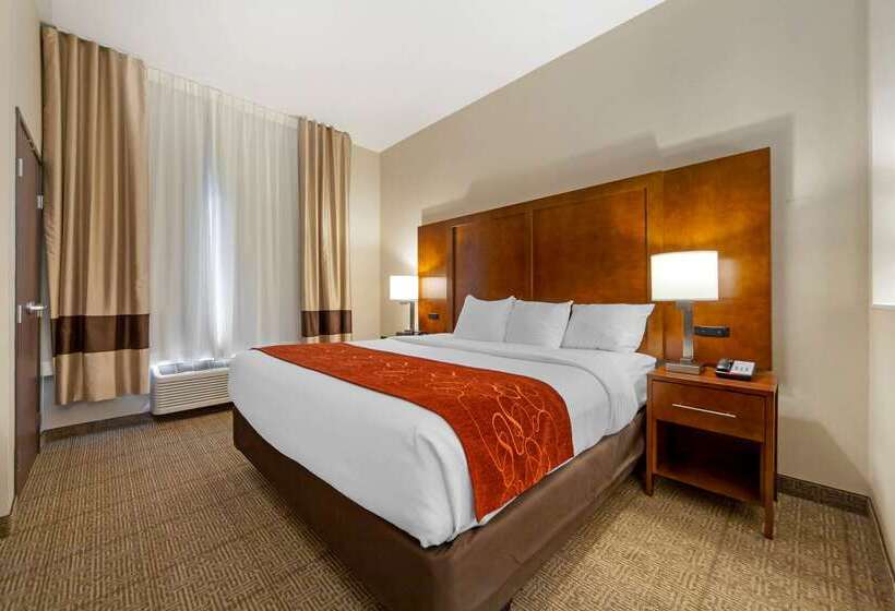 בית מלון כפרי Comfort Suites La Vista  Omaha