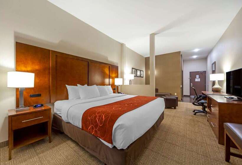 בית מלון כפרי Comfort Suites La Vista  Omaha