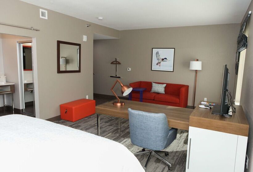 فندق Hampton Inn & Suites Lafayette Medical Center, Co