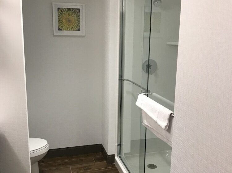 Отель Hampton Inn & Suites St. George, Ut