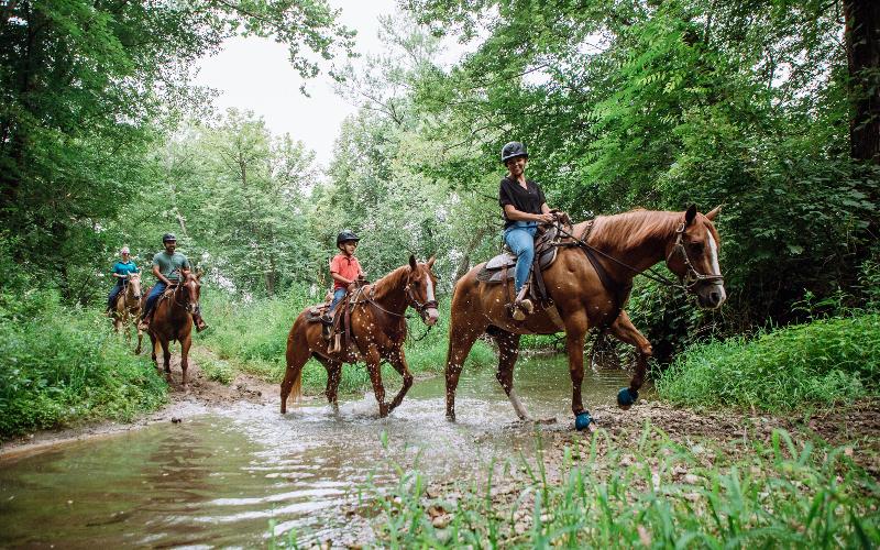 בית מלון כפרי Holiday Inn Club Vacations Fox River Resort At Sheridan