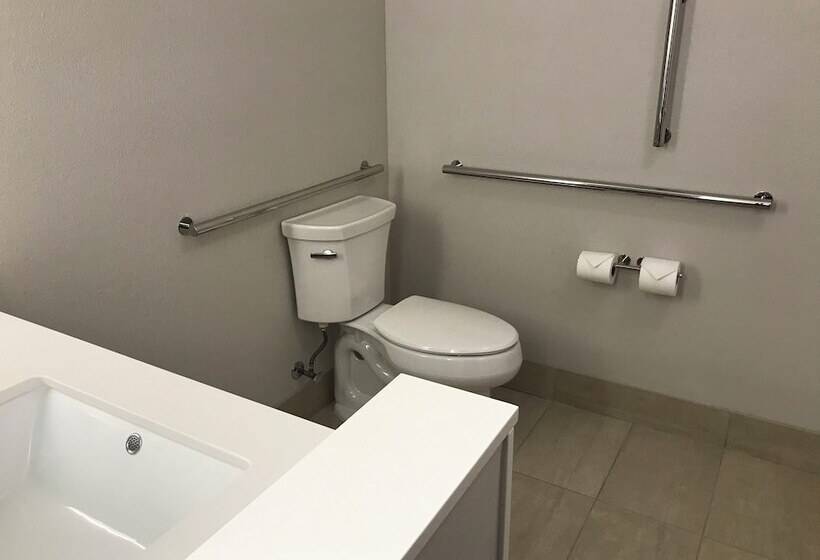ホテル Holiday Inn Express And Suites Hannibal   Medical Center By Ihg