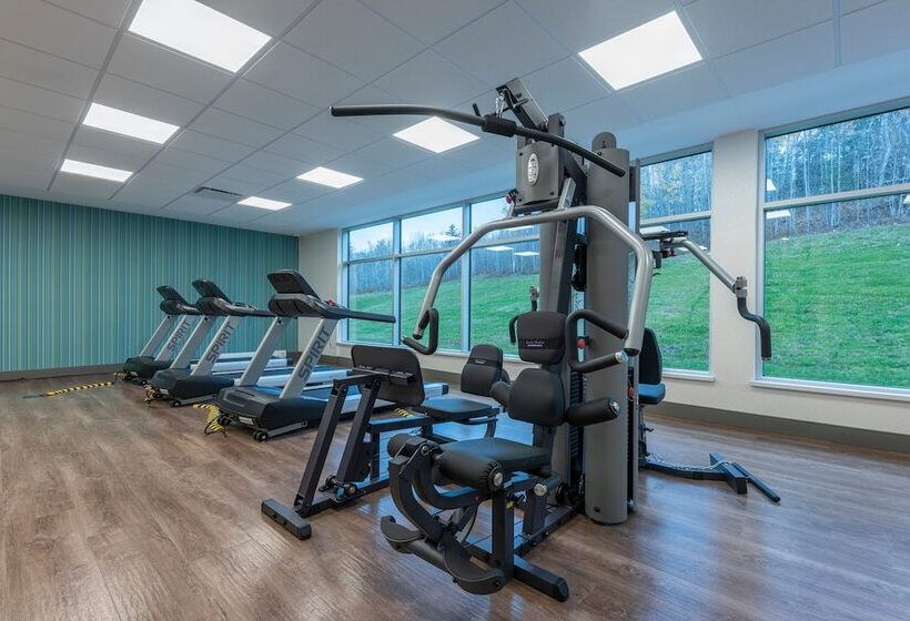 فندق Holiday Inn Express & Suites Moncton, An Ihg
