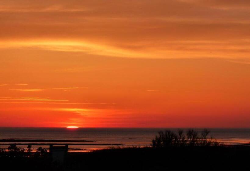 酒店 Hôtel De La Petite Plage