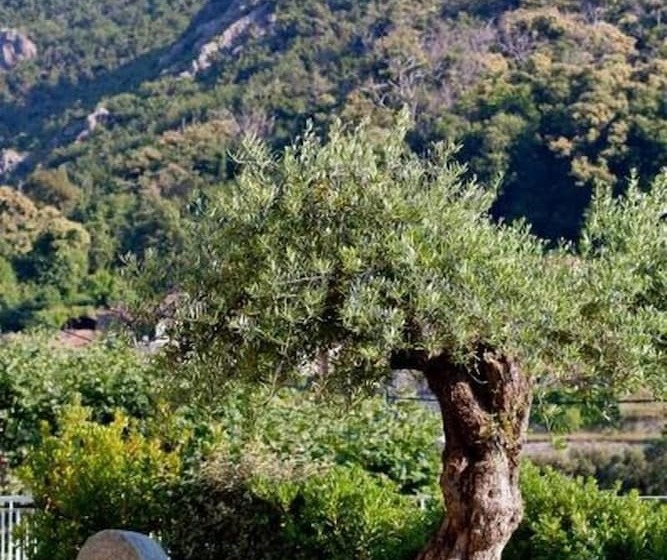 Отель Hôtel Sant Andria