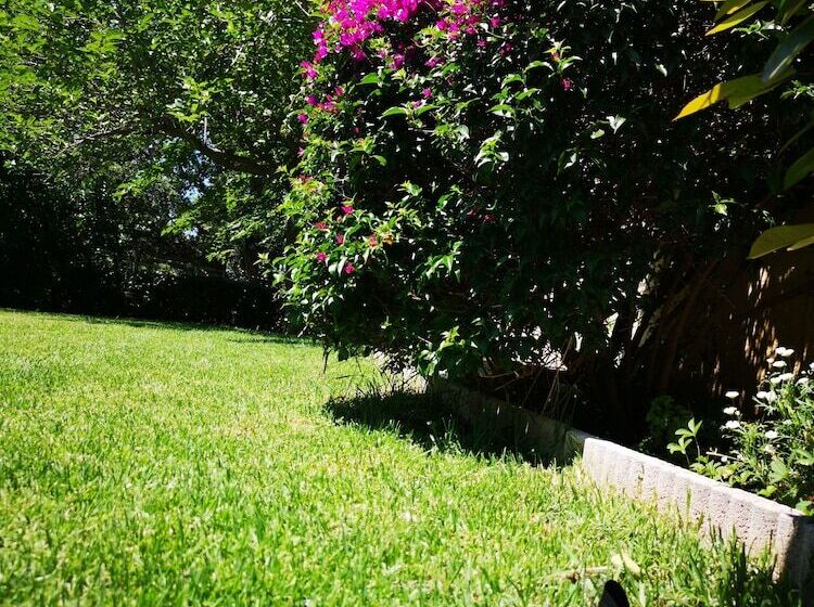 Отель Hôtel Sant Andria