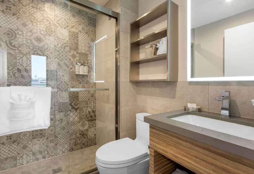 Insignia Hotel Brooklyn, Ascend Hotel Collection