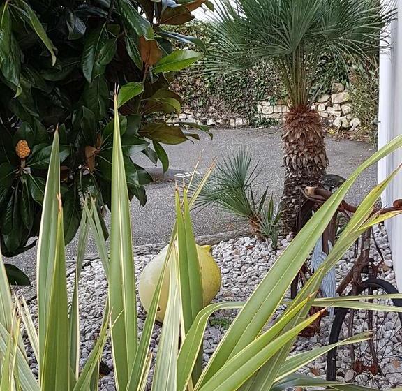 בית מלון כפרי L'ile Sous Le Vent