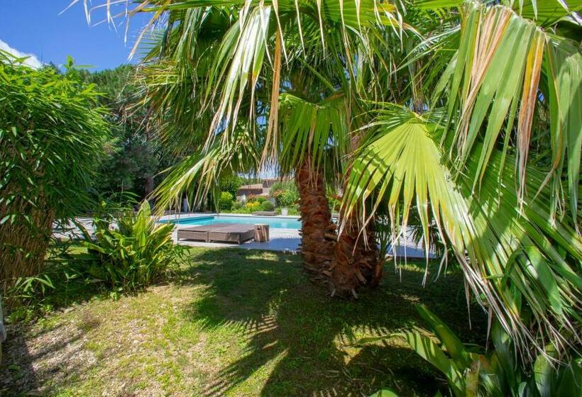 酒店 La Villa D Andrea