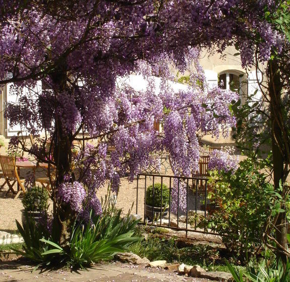 בית מלון כפרי Le Relais Du Lyon D Or