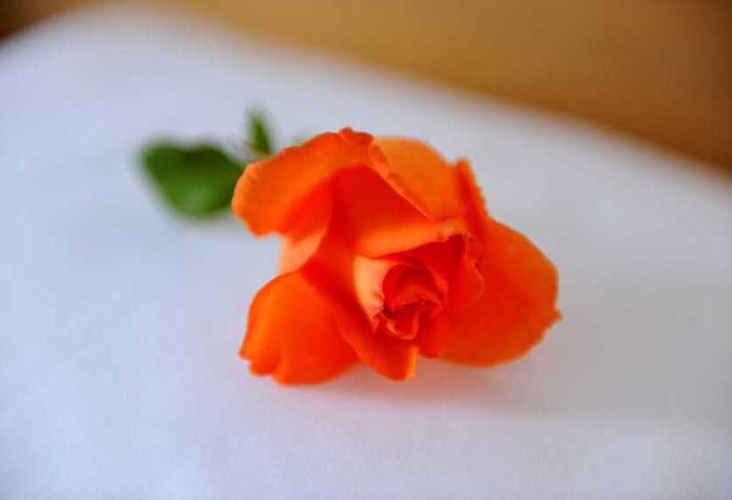 Отель Lotus Cave Villa