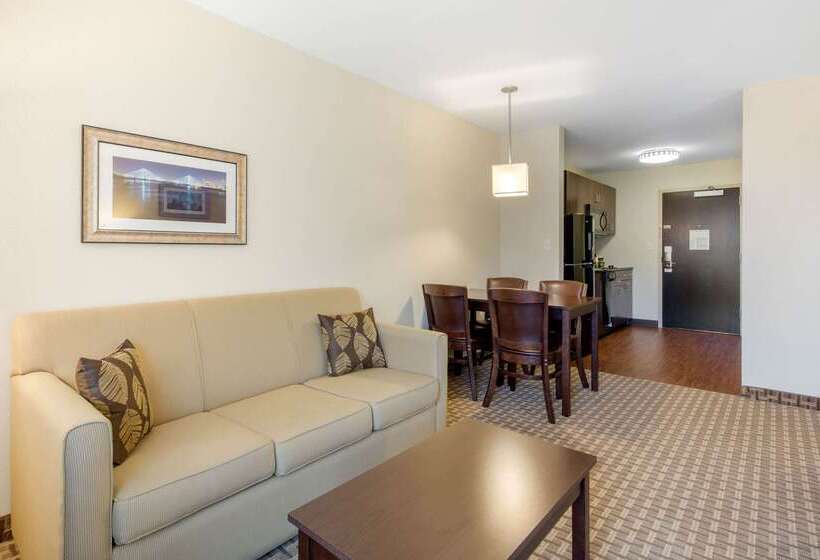 فندق Mainstay Suites St. Louis Airport