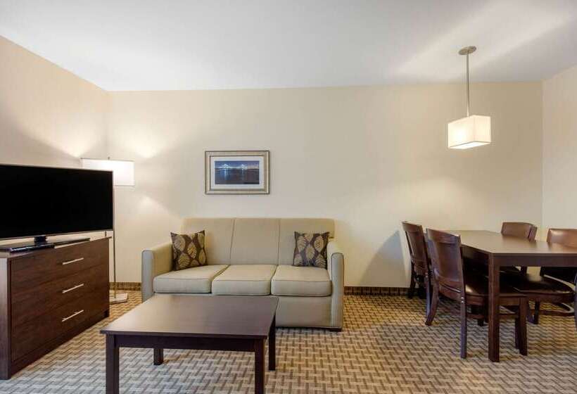 فندق Mainstay Suites St. Louis Airport