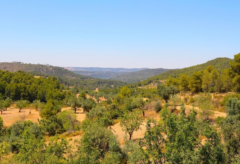 فندق Mas De La Costa