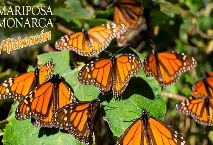 酒店 Quinta La Huerta