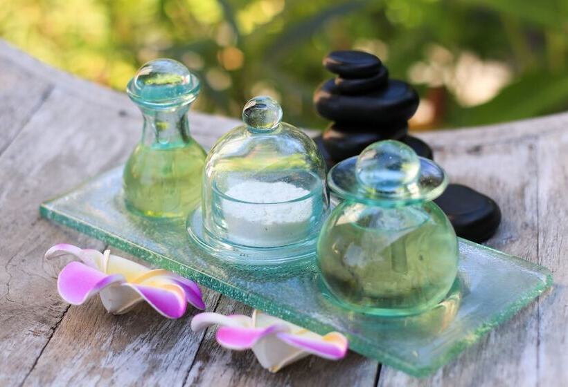 Hotel Sanur Art Villas