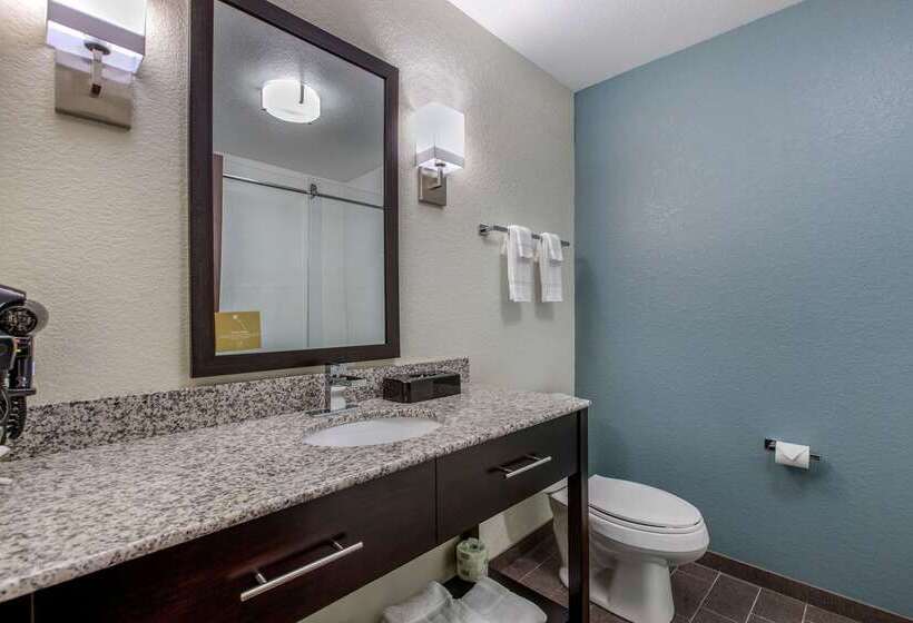 هتل Sleep Inn & Suites Ankeny  Des Moines