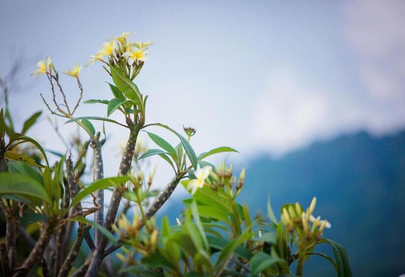 Отель Sunset Beach Villa S