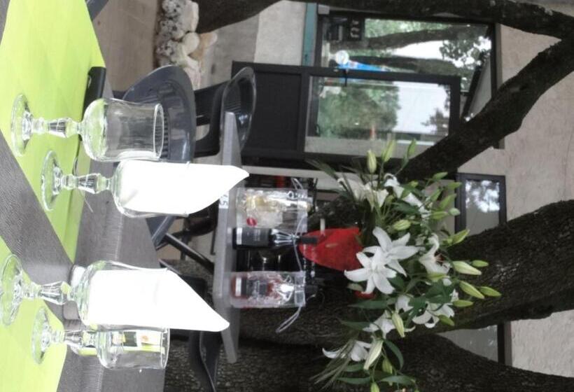 Отель Terrasses De L Aven