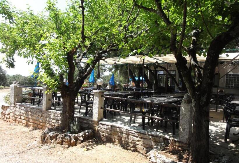 호텔 Terrasses De L Aven