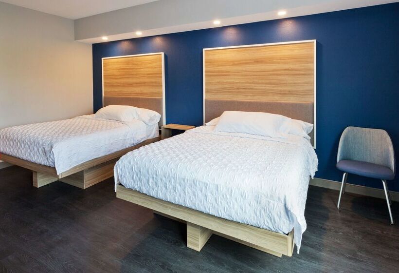 ホテル Tru By Hilton Auburn