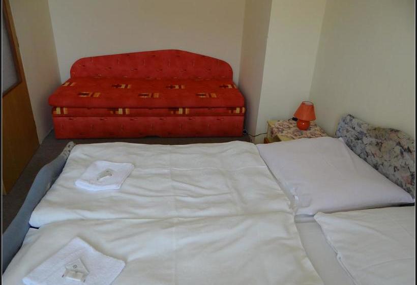 호텔 Zlatý K í