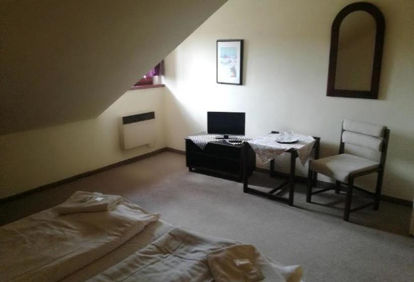 호텔 Zlatý K í