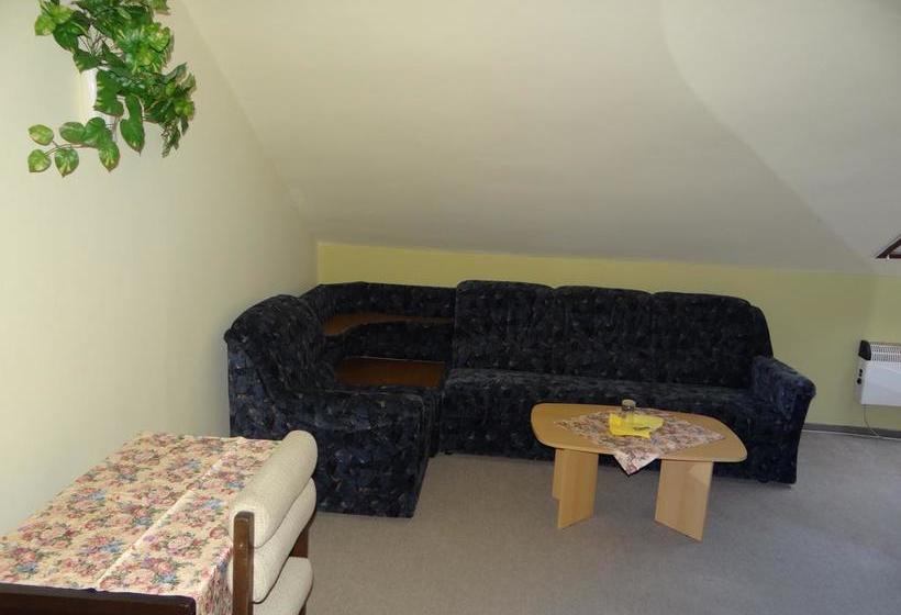 호텔 Zlatý K í