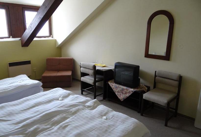 호텔 Zlatý K í