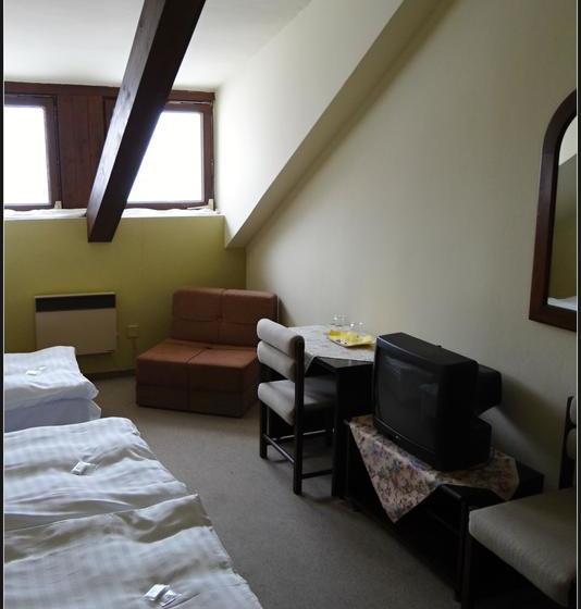 호텔 Zlatý K í