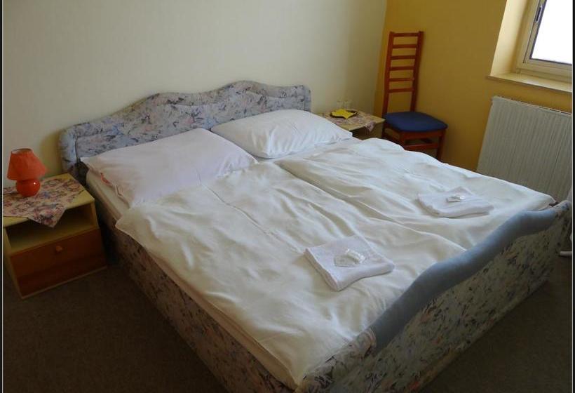 호텔 Zlatý K í