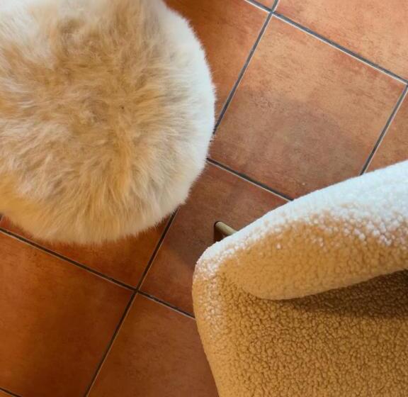 بنسيون Casa Moline Apartamentos Rurales