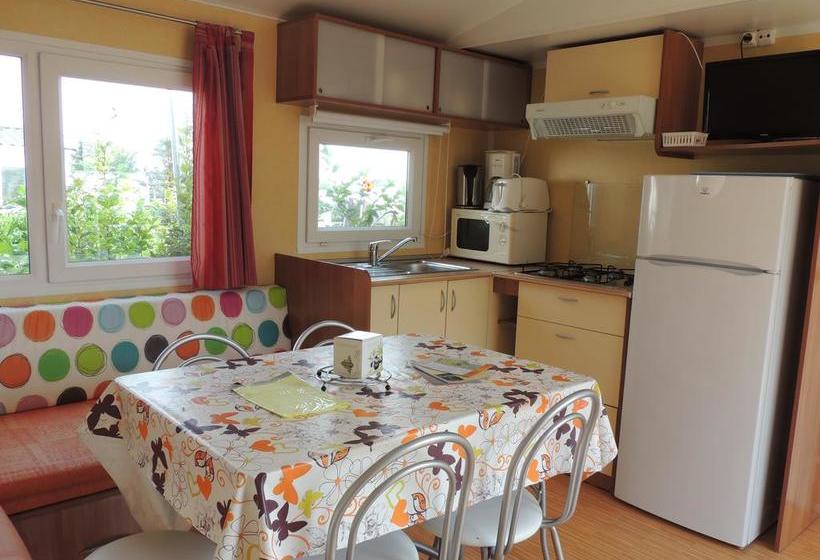 渡假胜地 Camping L'arada Parc