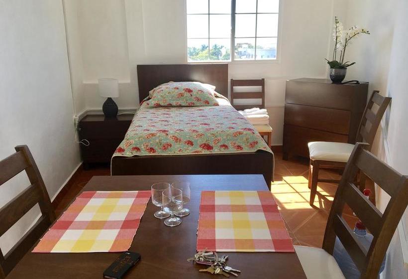 호스텔 Casa Paloma Blanca