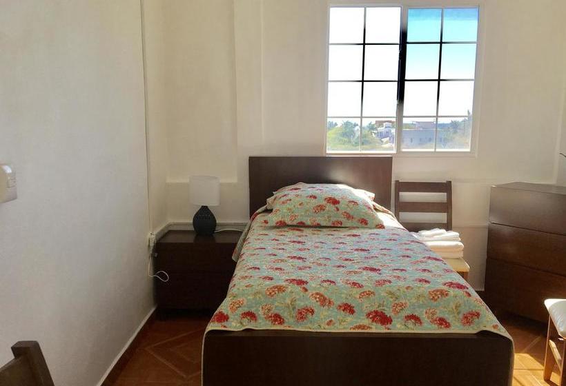 호스텔 Casa Paloma Blanca