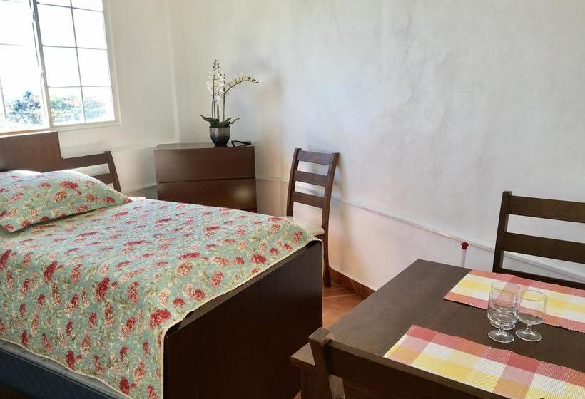 호스텔 Casa Paloma Blanca