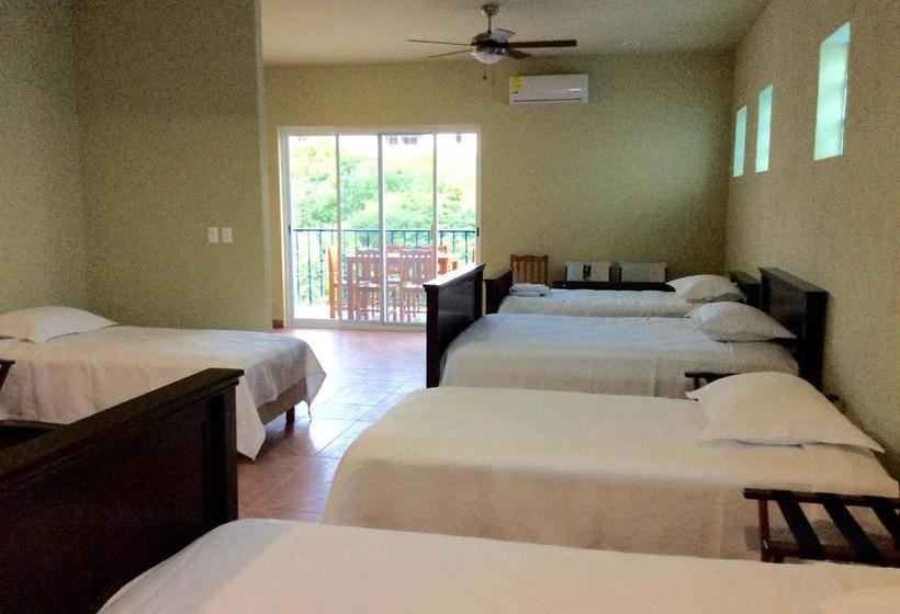 호스텔 Casa Paloma Blanca