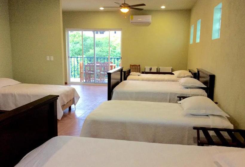 호스텔 Casa Paloma Blanca